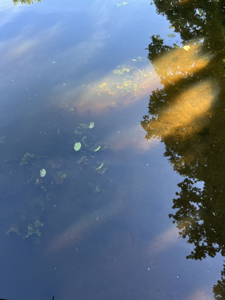 img 7651